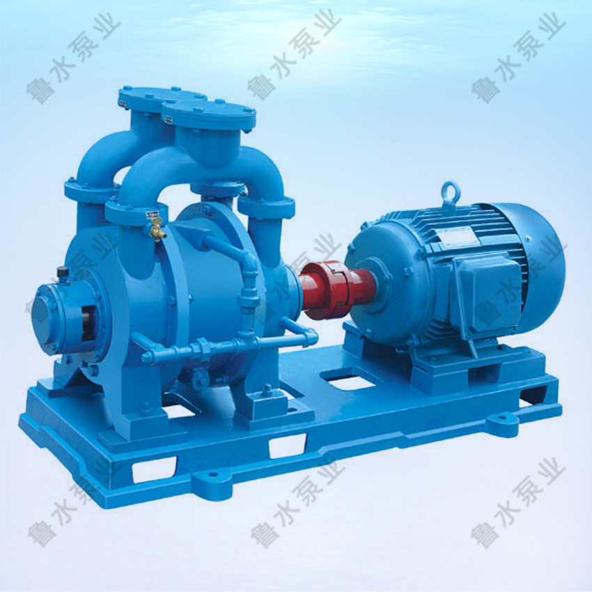 SK系(xì)列水環式真(zhen)空泵
