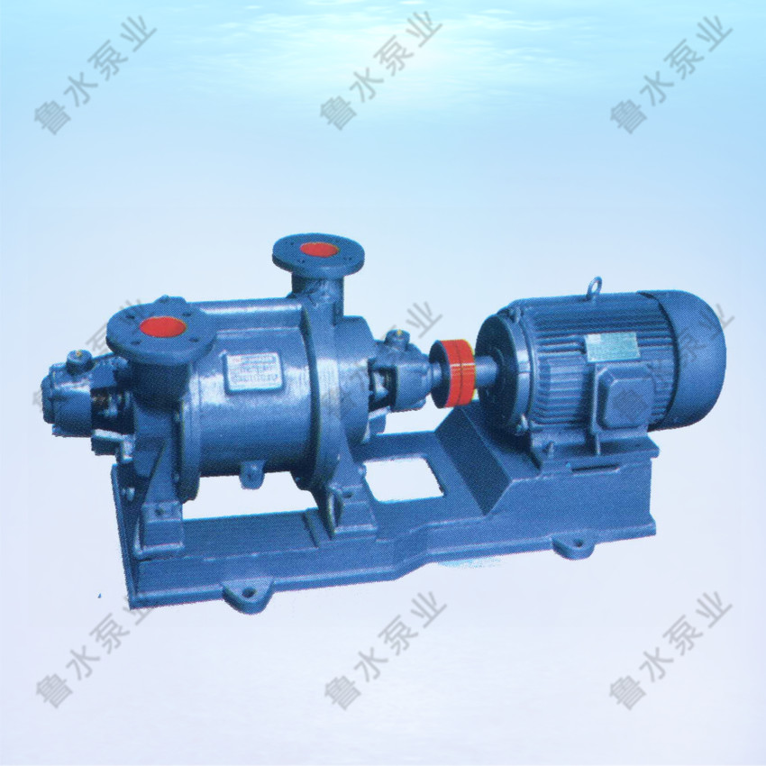 SZ系(xi)列水環式真(zhēn)空泵