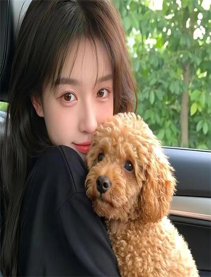 校园剧经典幸福到家的创作历程与幕后故事 ——校园剧爱好者的必读指南